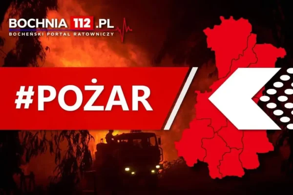 Pożar samochodu w Krzeczowie. Strażacy w akcji