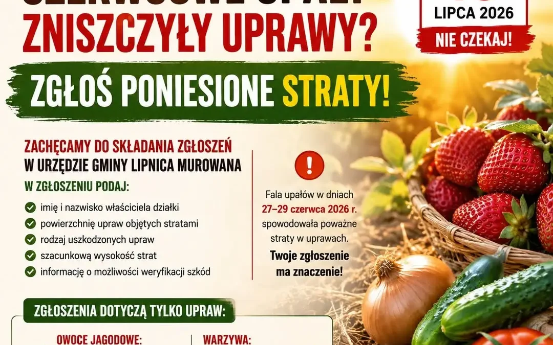 Rolnicy z Lipnicy Murowanej mogą zgłaszać straty po fali upałów