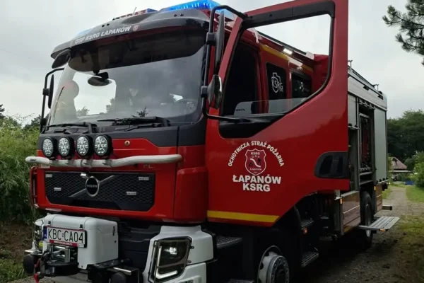 OSP Łapanów usuwa gniazdo owadów w Kobylcu