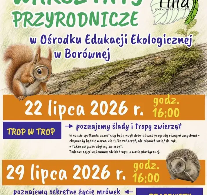 Wakacyjne warsztaty przyrodnicze w Borównej – odkryj tajemnice lasu