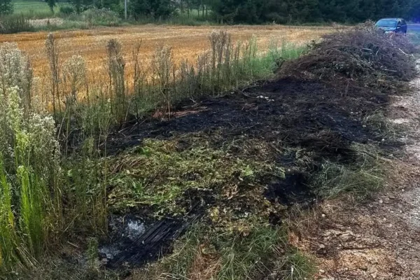 Pożar zarośli w Gierczycach – szybka interwencja strażaków