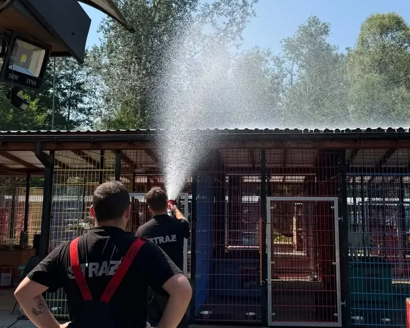 OSP Rzezawa pomogła schronisku w walce z upałem