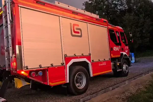 Strażacy z Boczowa usunęli gniazdo owadów błonkoskrzydłych