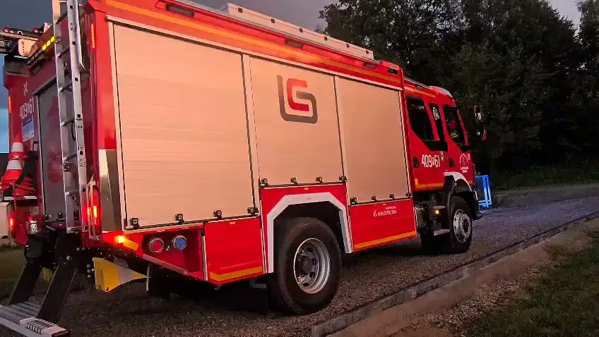 Strażacy z Boczowa usunęli gniazdo owadów błonkoskrzydłych