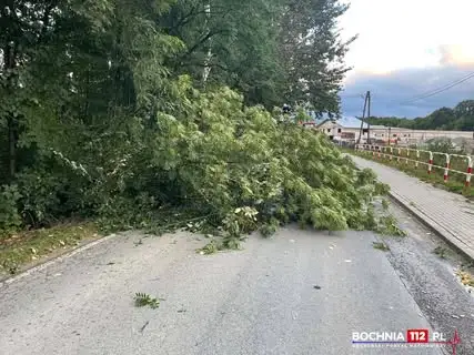 Nawałnica w powiecie bocheńskim: 9 interwencji strażaków, uszkodzone drzewa i linie energetyczne