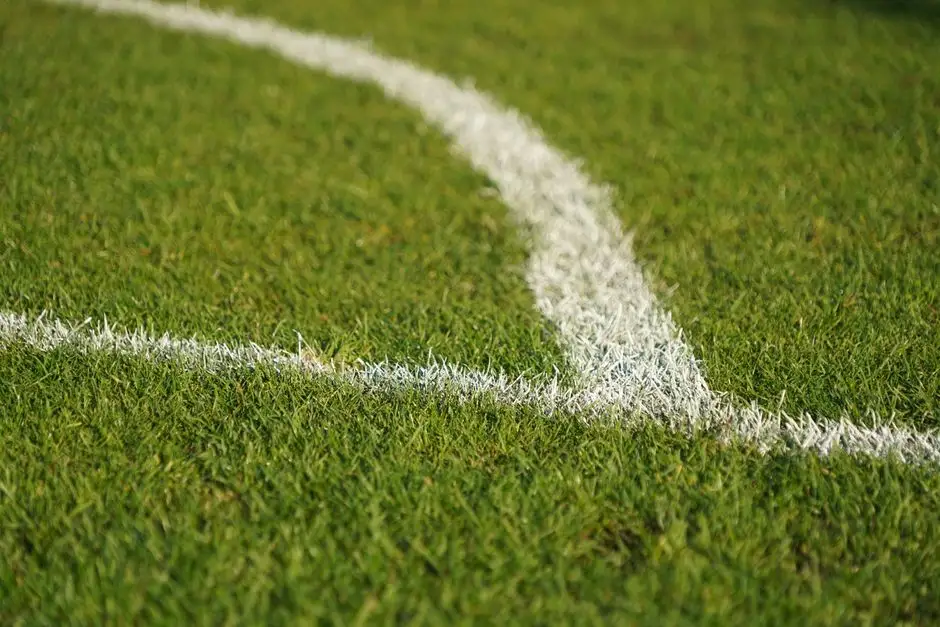 Gmina Żegocina wspiera remont murawy stadionu – podziękowania od klubu
