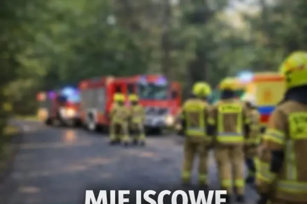 OSP Łapanów usuwa uszkodzone drzewo zagrażające ruchowi drogowemu