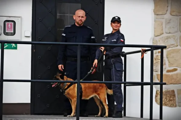 Rita – policyjny pies służbowy – wspiera bezpieczeństwo w Zakładzie Karnym w Nowym Wiśniczu