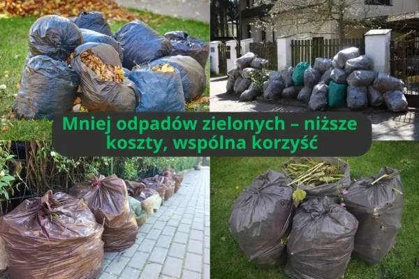 Rekordowy wzrost odpadów zielonych w gminie. Mieszkańcy zapłacą więcej?