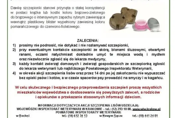 Małopolska: rusza jesienne szczepienie lisów przeciwko wściekliźnie