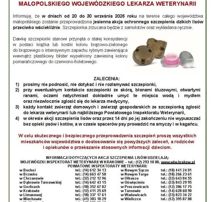 Małopolska: rusza jesienne szczepienie lisów przeciwko wściekliźnie