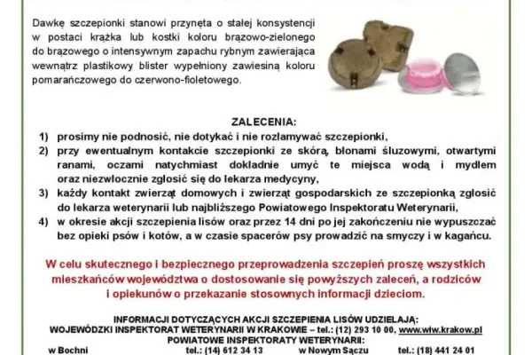 Powiat Bochnia: szczepienie lisów przeciw wściekliźnie trwa do 30 września