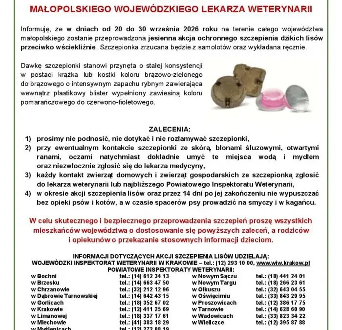 Powiat Bochnia: szczepienie lisów przeciw wściekliźnie trwa do 30 września