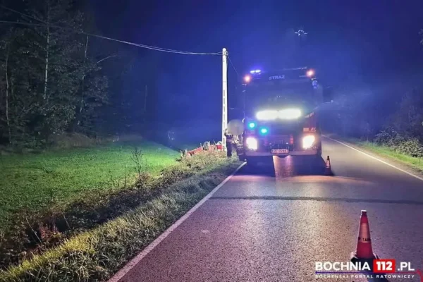 Kolizja z dziką zwierzyną w Tarnawie – jedna osoba poszkodowana