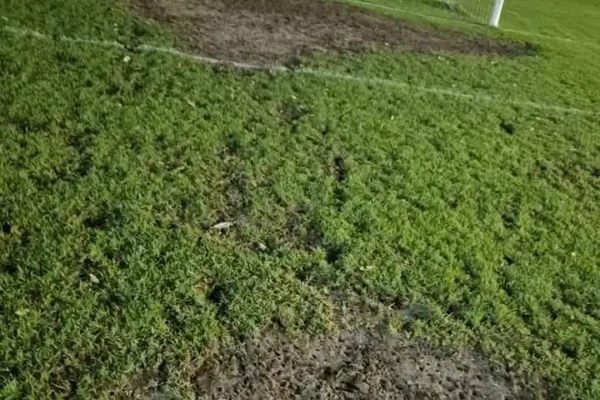 Zły stan murawy na Stadionie Miejskim w Bochni przed meczem z wiceliderem