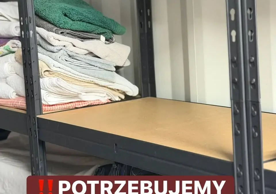 Schronisko w Borku apeluje o tekstylia dla zwierząt
