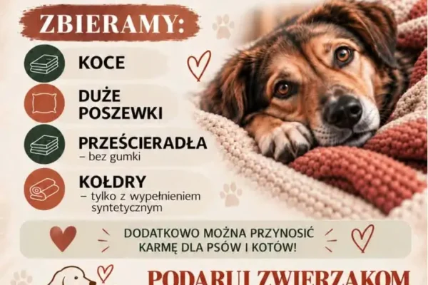 CKZiU w gminie Lapanów zbiera tekstylia i karmę dla schroniska w Borku